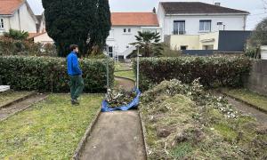 Elagueur Nantes